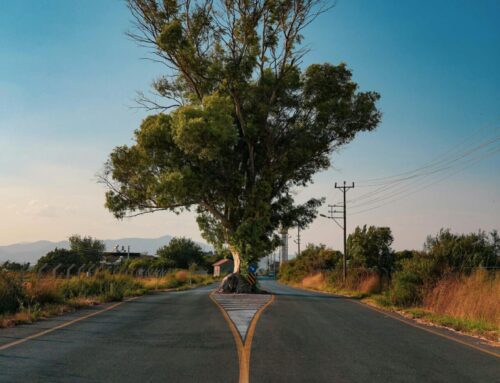 Implicancias Clínicas de las Técnicas de Bifurcación Coronaria: Registro PROGRESS-BIFURCATION