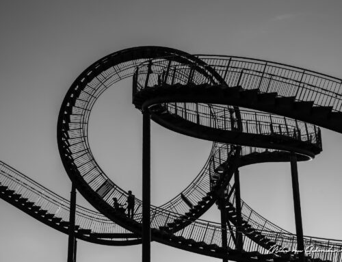 Denervación Renal: Presión Arterial Sistólica Basal como Predictor de Éxito