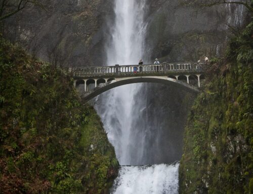 El Valor de la PECP: Un Marcador de Riesgo Clave en T-TEER