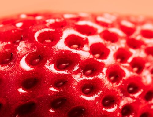 Ensayo C-GUARDIANS: Seguridad y eficacia de los stents de doble capa en estenosis carotídea