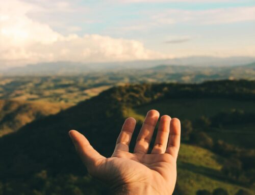 Implicancias de la Conversión del Acceso Radial Distal al Radial Convencional
