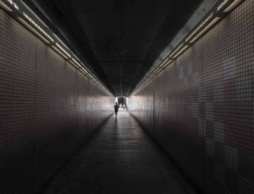 Reemplazo Transcatéter de Válvula Pulmonar: Mayor Riesgo Arrítmico con Venus-P