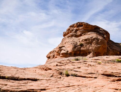 Beneficio de la Aterectomía en la Calcificación Coronaria Severa de Pacientes Asistidos con Impella