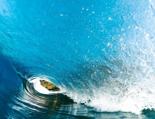 Factibilidad y Predictores de Reacceso Coronario Luego de un TAVI con Evolut: Estudio EPROMPT-CA