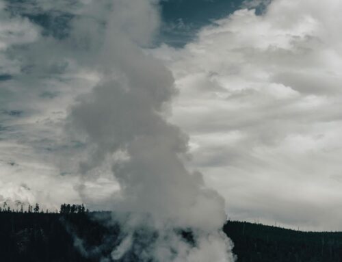 Beneficio de la Angioplastia Coronaria en Pacientes con Angina Crónica Estable de Acuerdo a la Edad