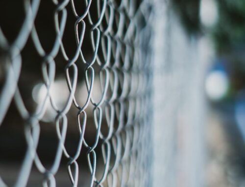 Resultados finales del COMPARE-ABSORB: Eficacia del armazón biorreabsorbible vs stent metálico a 7 años