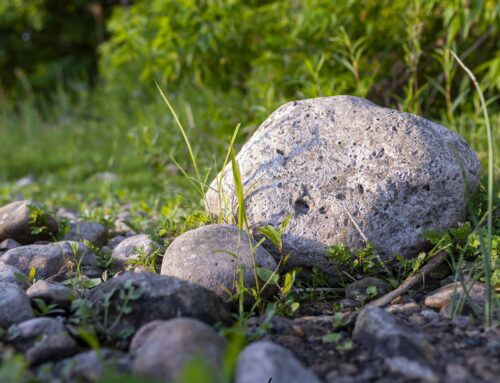 Beneficio de la aterectomía rotacional en nódulos calcificados: rol de la calcificación contralateral