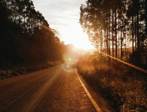 Implicancias de la Angioplastia del Puente Venoso Aortocoronario en la Falla del Injerto: Estudio PROCTOR