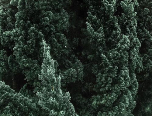 Rol de la Resonancia Magnética Cardíaca para la Determinación de Isquemia: Subanálisis del ISCHEMIA