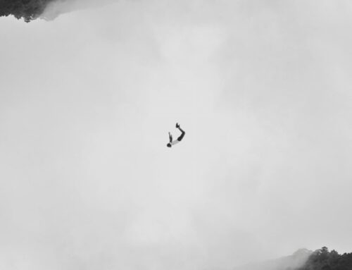 Prevalencia y Características de la Ruptura de Placa Ateroesclerótica en Vasos no Culpables del Infarto