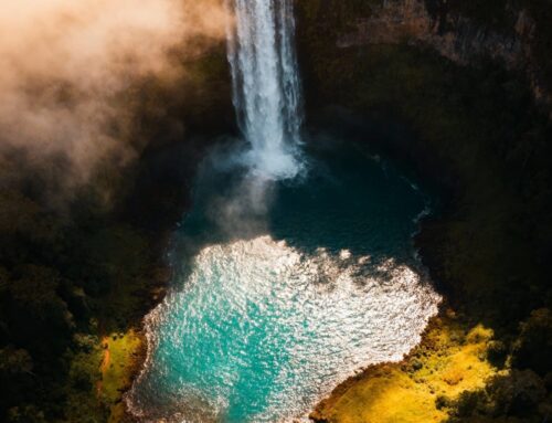 Inestabilidad hemodinámica aguda tras el reemplazo valvular tricúspide transcatéter. Registro CESAR-TR.