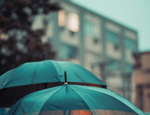 Cierre Percutáneo de Orejuela o Tratamiento Médico: Estudio CLOSURE-AF