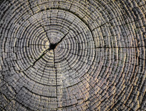 Impacto pronóstico del infarto espontáneo vs procedimental tras la revascularización del tronco