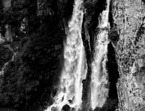 Riesgo Vinculados a una Angioplastia Coronaria Compleja: Meta-análisis de la Evidencia