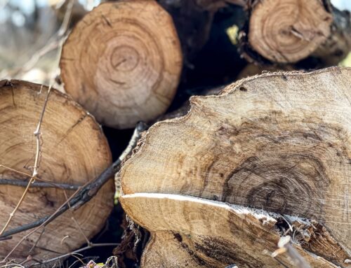 ICP de tronco no protegido: Seguridad y tendencias actuales